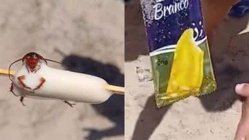 Que nojo! Barata é encontrada no meio de picolé em praia do Rio; veja o vídeo - Reprodução/Instagram