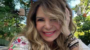 Elba Ramalho se desculpa após associar pandemia ao comunismo - Instagram